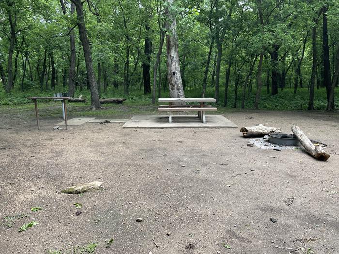 A photo of Site 11 of Loop Main at Sandy Park with Boat Ramp, Picnic Table, Electricity Hookup, Fire Pit, Shade, Tent Pad, Water Hookup