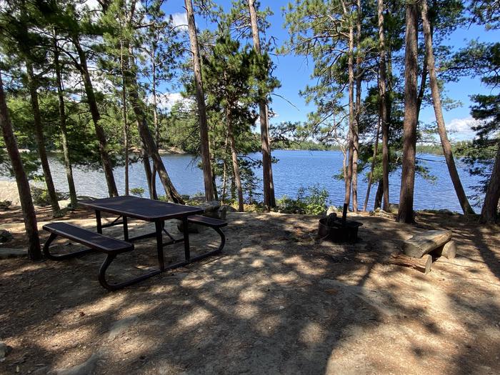 R105 - Hitchcock Island, view looking out from campsite of the fire ring and picnic table with water in the background.R105 - Hitchcock Island campsite on Rainy Lake