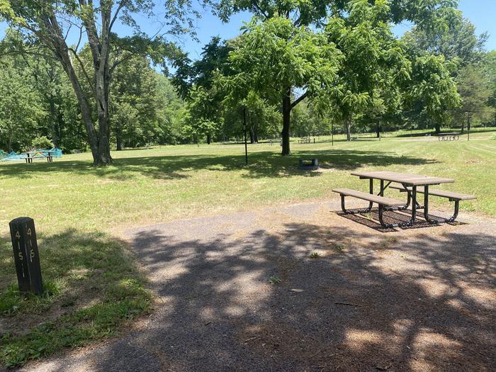 A photo of Site 415 of Loop Loop 400 at BIG SPRING with Picnic Table, Fire Pit, Shade, Lantern Pole
