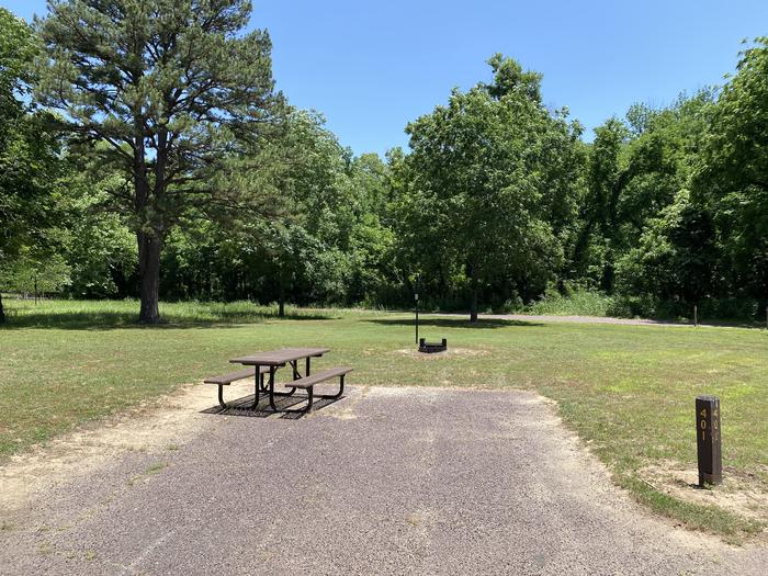 A photo of Site 401 of Loop Loop 400 at BIG SPRING with Picnic Table, Fire Pit, Shade, Lantern Pole