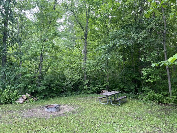 A photo of Site 004 of Loop STON at STONY POINT with Picnic Table, Fire Pit