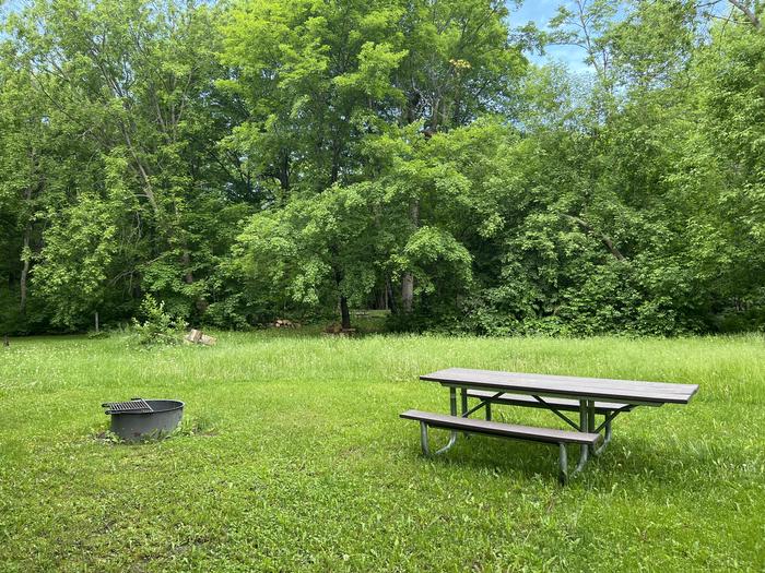 A photo of Site 003 of Loop STON at STONY POINT with Picnic Table, Fire Pit