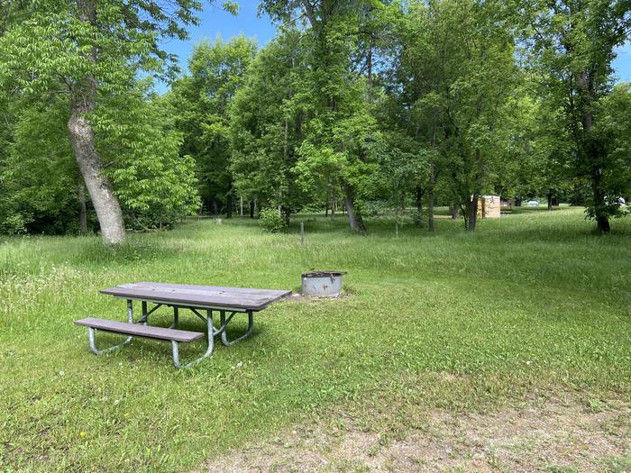 A photo of Site 005 of Loop STON at STONY POINT with Picnic Table, Fire Pit