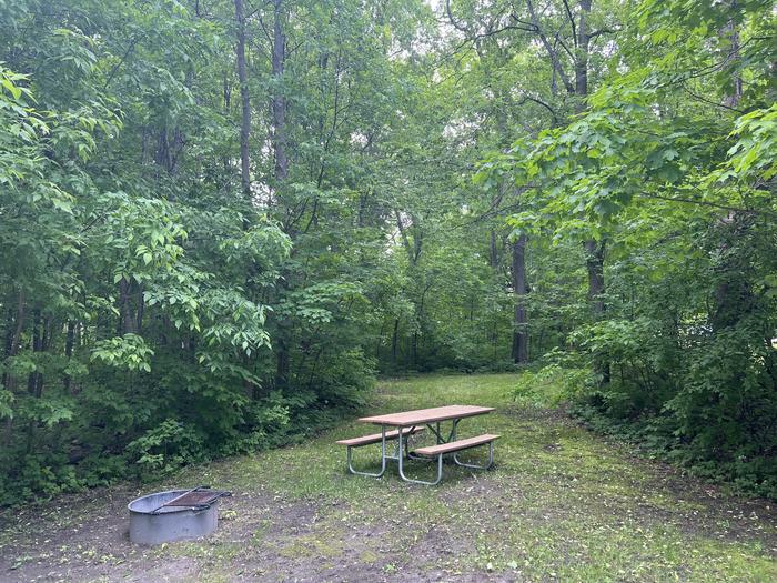 A photo of Site 002 of Loop STON at STONY POINT with Picnic Table, Electricity Hookup, Fire Pit, Shade