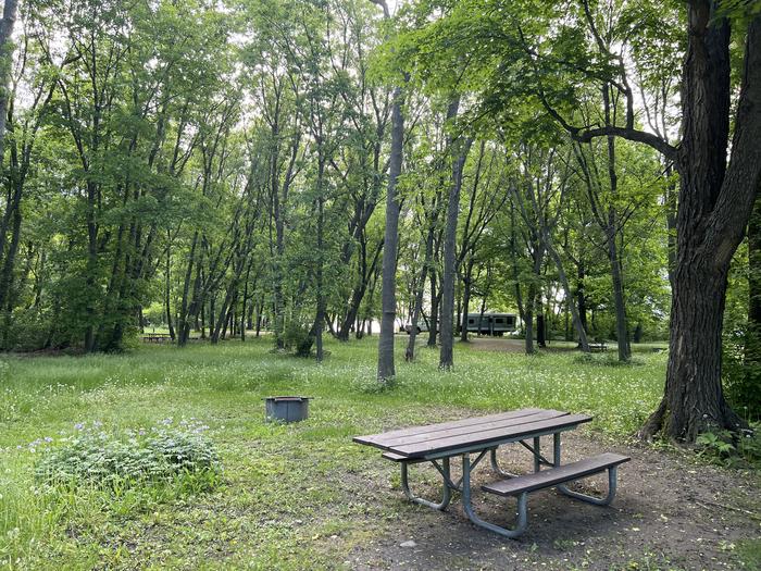 A photo of Site 009 of Loop STON at STONY POINT with Picnic Table, Fire Pit