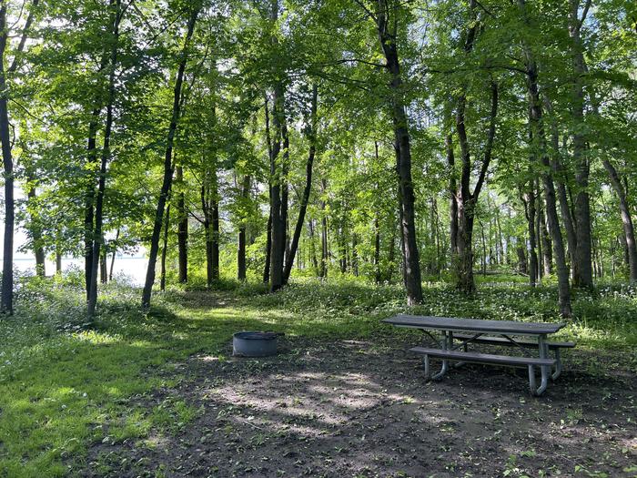 A photo of Site 012 of Loop STON at STONY POINT with Picnic Table, Fire Pit, Shade, Waterfront