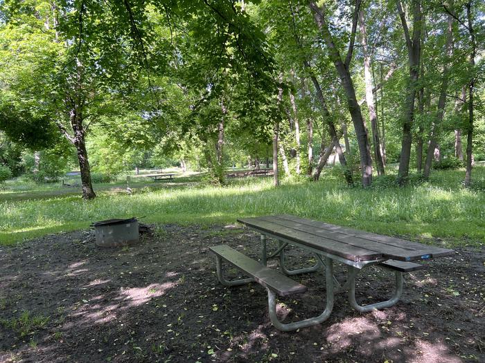 A photo of Site 015 of Loop STON at STONY POINT with Picnic Table, Fire Pit, Shade