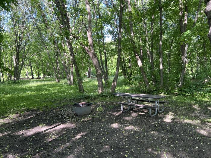 A photo of Site 017 of Loop STON at STONY POINT with Picnic Table, Fire Pit, Shade