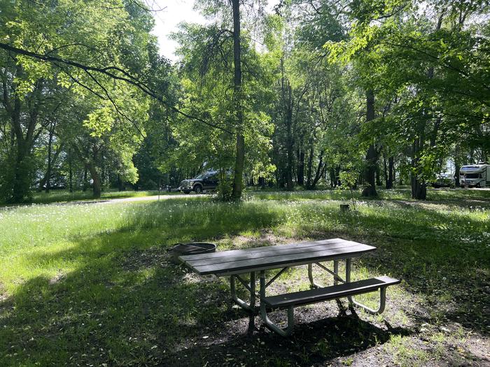 A photo of Site 025 of Loop STON at STONY POINT with Picnic Table, Fire Pit, Shade