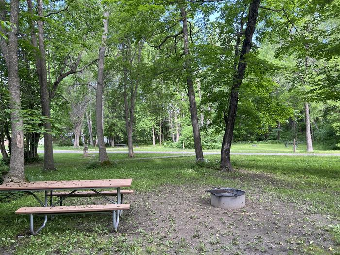 A photo of Site 007 of Loop STON at STONY POINT with Picnic Table, Fire Pit, Shade