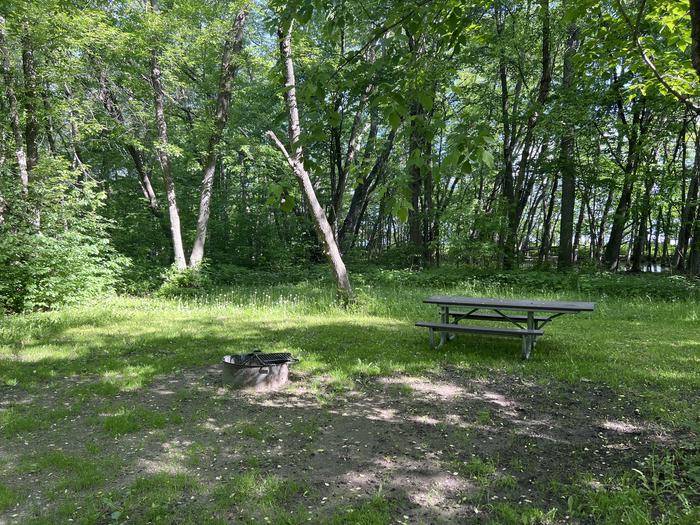 A photo of Site 024 of Loop STON at STONY POINT with Picnic Table, Fire Pit