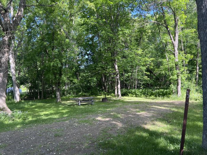A photo of Site 033 of Loop STON at STONY POINT with Picnic Table, Electricity Hookup, Fire Pit, Shade