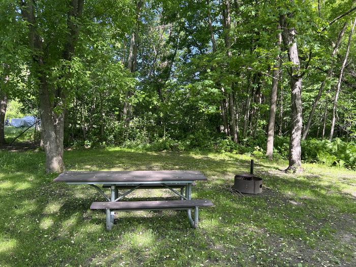 A photo of Site 033 of Loop STON at STONY POINT with Picnic Table, Fire Pit, Shade