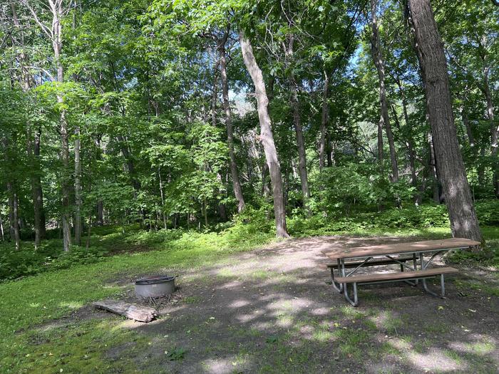 A photo of Site 040 of Loop STON at STONY POINT with Picnic Table, Fire Pit, Shade