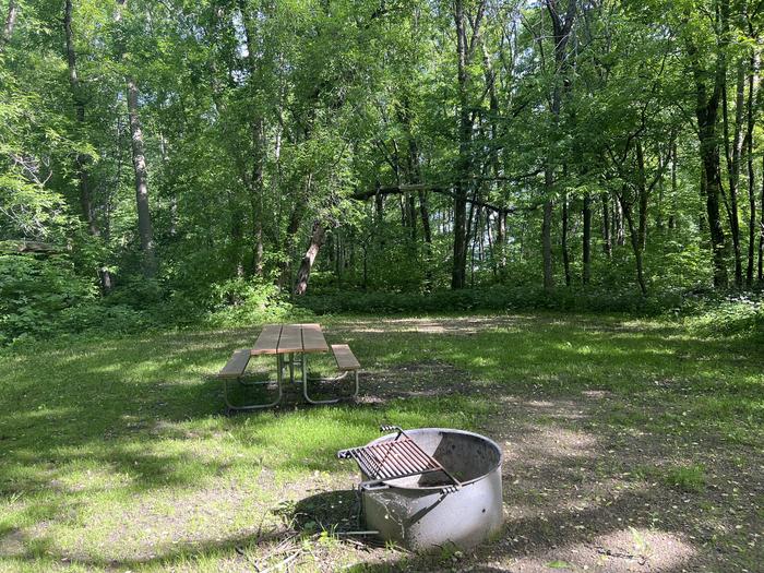 A photo of Site 029 of Loop STON at STONY POINT with Picnic Table, Fire Pit, Shade