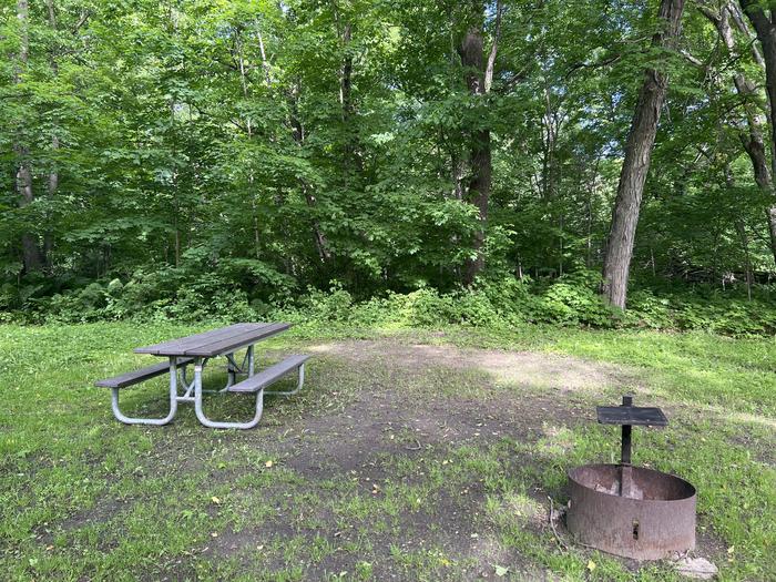 A photo of Site 036 of Loop STON at STONY POINT with Picnic Table, Fire Pit