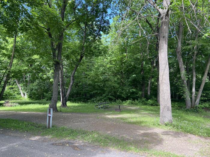 A photo of Site 036 of Loop STON at STONY POINT with Picnic Table, Electricity Hookup, Fire Pit, Shade