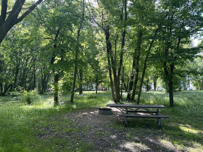 A photo of Site 028 of Loop STON at STONY POINT with Picnic Table, Fire Pit, Shade