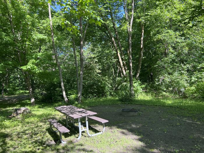 A photo of Site 043 of Loop STON at STONY POINT with Picnic Table, Fire Pit, Shade