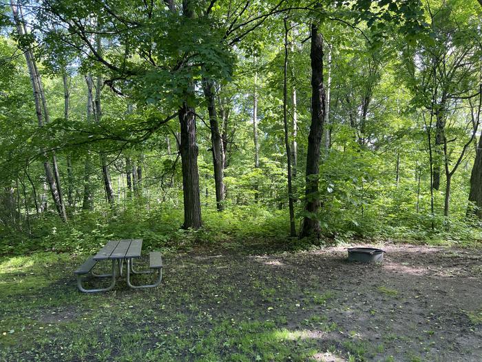 A photo of Site 041 of Loop STON at STONY POINT with Picnic Table, Fire Pit, Shade