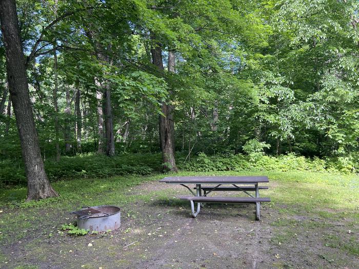 A photo of Site 039 of Loop STON at STONY POINT with Picnic Table, Fire Pit