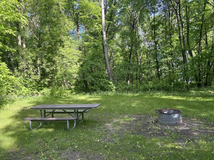A photo of Site 027 of Loop STON at STONY POINT with Picnic Table, Fire Pit