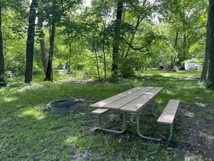 A photo of Site 037 of Loop STON at STONY POINT with Picnic Table, Fire Pit, Shade