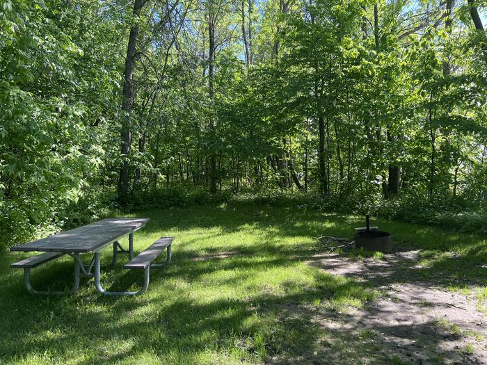 A photo of Site 044 of Loop STON at STONY POINT with Picnic Table, Fire Pit, Shade, Waterfront