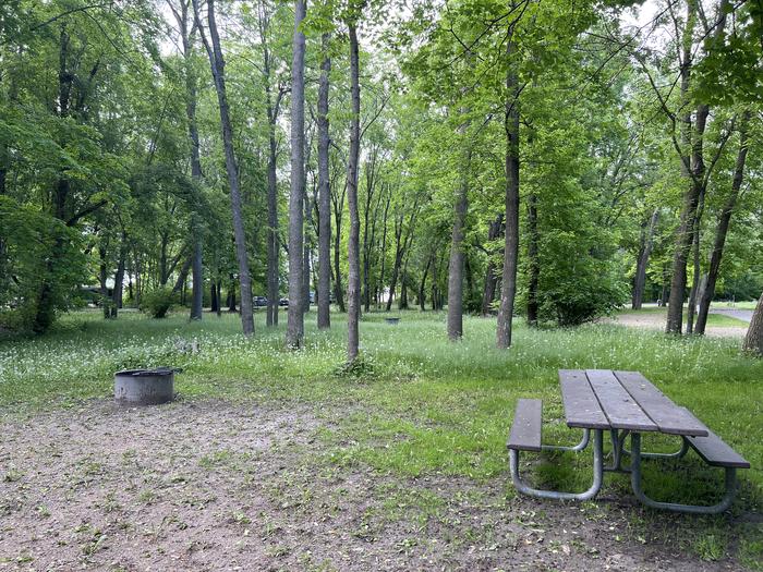A photo of Site 008 of Loop STON at STONY POINT with Picnic Table, Fire Pit, Shade