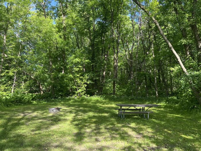A photo of Site 032 of Loop STON at STONY POINT with Picnic Table, Fire Pit, Shade