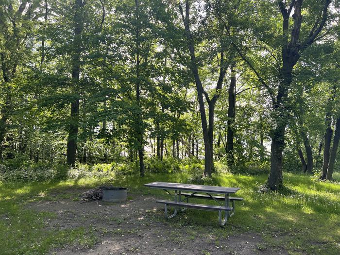 A photo of Site 019 of Loop STON at STONY POINT with Picnic Table, Fire Pit