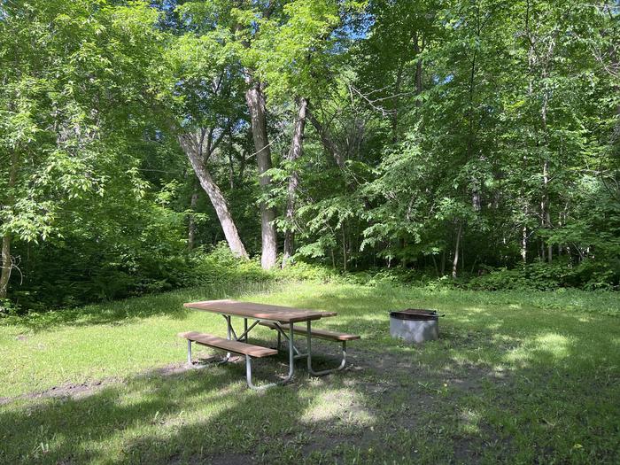 A photo of Site 038 of Loop STON at STONY POINT with Picnic Table, Fire Pit, Shade