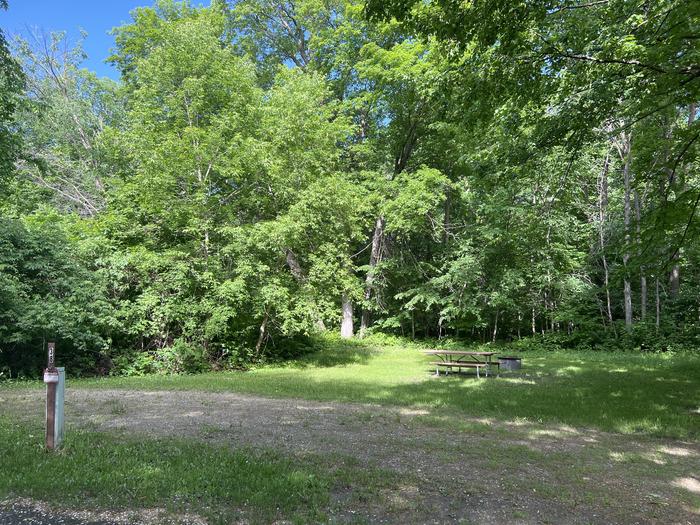 A photo of Site 038 of Loop STON at STONY POINT with Picnic Table, Electricity Hookup, Fire Pit, Shade