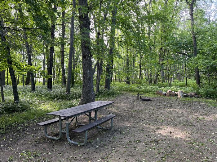 A photo of Site 011 of Loop STON at STONY POINT with Picnic Table, Fire Pit, Waterfront