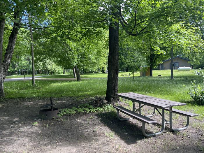 A photo of Site 035 of Loop STON at STONY POINT with Picnic Table, Fire Pit, Shade