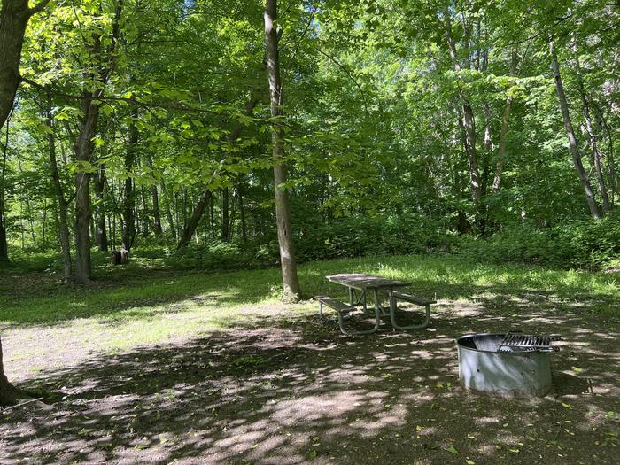 A photo of Site 042 of Loop STON at STONY POINT with Picnic Table, Fire Pit, Shade