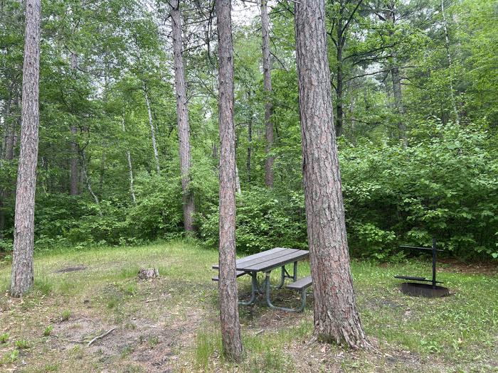A photo of Site 016 of Loop SOUTH PIKE BAY  at SOUTH PIKE BAY with Picnic Table, Fire Pit, Shade