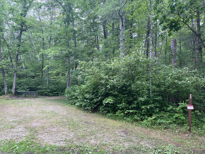 A photo of Site 020 of Loop SOUTH PIKE BAY  at SOUTH PIKE BAY with Picnic Table, Fire Pit, Shade