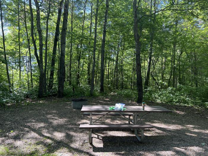 A photo of Site 010 of Loop SOUT at ONEGUME with Picnic Table, Electricity Hookup, Fire Pit, Shade
