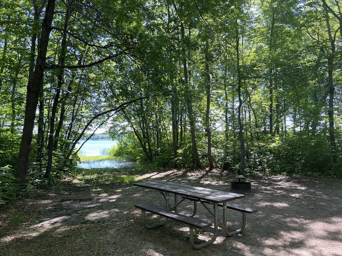 A photo of Site 011 of Loop SOUT at ONEGUME with Picnic Table, Fire Pit, Shade, Waterfront