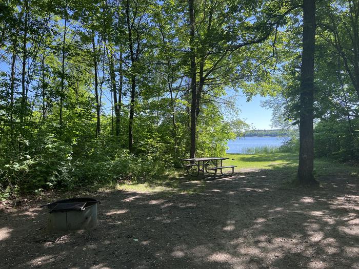 A photo of Site 014 of Loop SOUT at ONEGUME with Picnic Table, Fire Pit, Shade, Waterfront