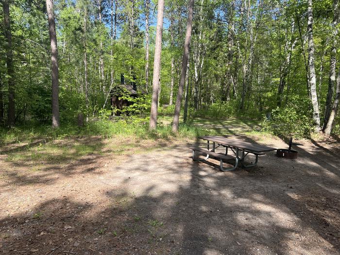 A photo of Site 005 of Loop SOUT at ONEGUME with Picnic Table, Fire Pit