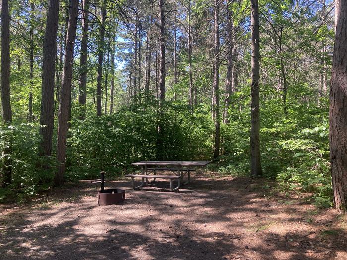 A photo of Site 036 of Loop NORT at ONEGUME with Picnic Table, Fire Pit, Shade