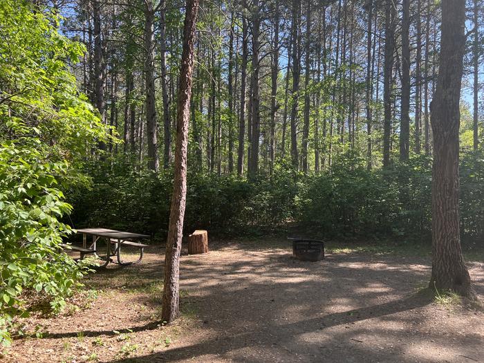A photo of Site 042 of Loop MIDD at ONEGUME with Picnic Table, Fire Pit, Shade