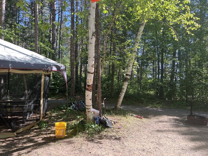 A photo of Site 048 of Loop MIDD at ONEGUME with Picnic Table, Electricity Hookup, Fire Pit, Shade