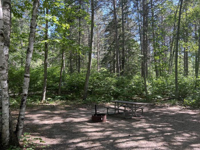 A photo of Site 039 of Loop NORT at ONEGUME with Picnic Table, Fire Pit, Shade