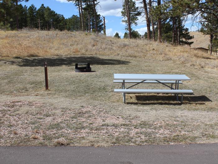 Picnic table and campsiteCamp Site 3