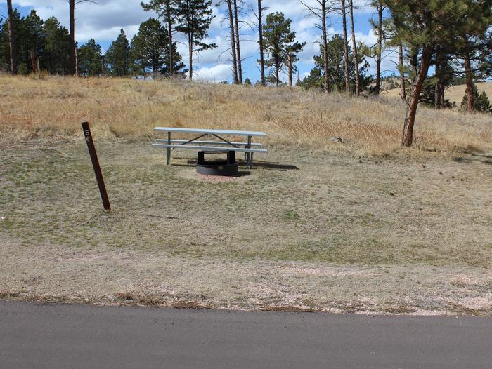 Picnic table and fire ringSite 5