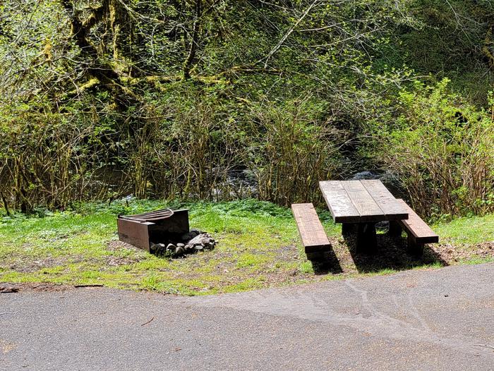 picnic table and firepit in campsite 4 in Fan CreekCampsite 4 in Fan Creek