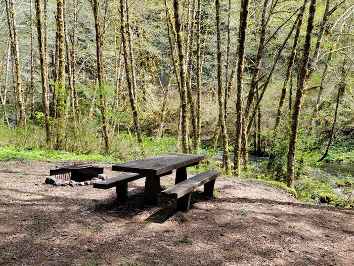 Fan Creek campsite 8 picnic table and firepitCampsite 8 in Fan Creek